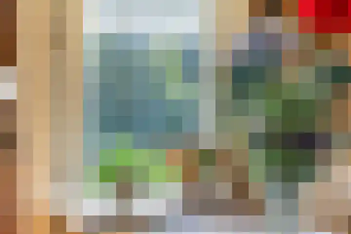 't Lindenhof 1 Bellingwolde thumbnail 13