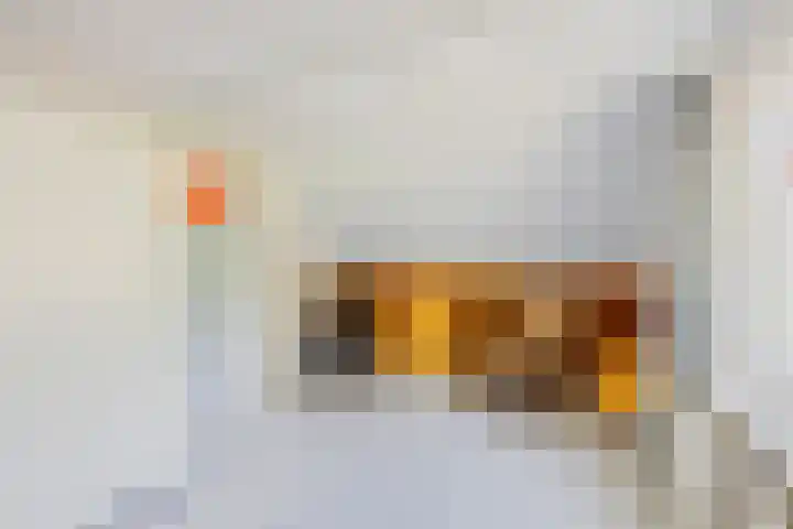 't Lindenhof 1 Bellingwolde thumbnail 29