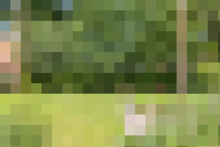 't Lindenhof 1 Bellingwolde thumbnail 31