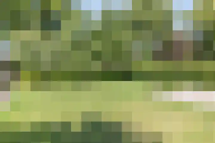 't Lindenhof 1 Bellingwolde thumbnail 32