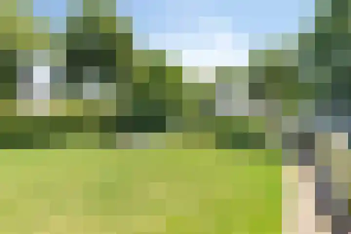 't Lindenhof 1 Bellingwolde thumbnail 33