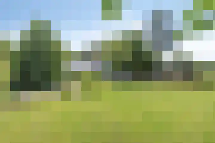 't Lindenhof 1 Bellingwolde thumbnail 34