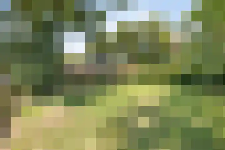 't Lindenhof 1 Bellingwolde thumbnail 35