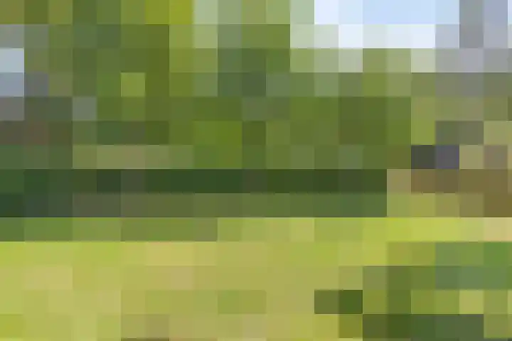't Lindenhof 1 Bellingwolde thumbnail 36