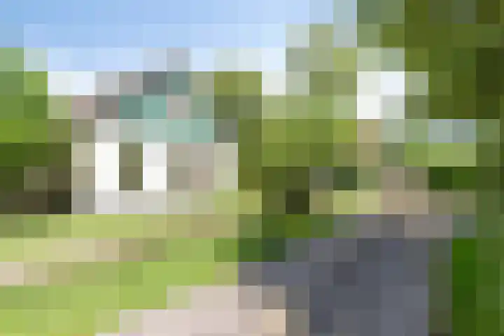 't Lindenhof 1 Bellingwolde thumbnail 4