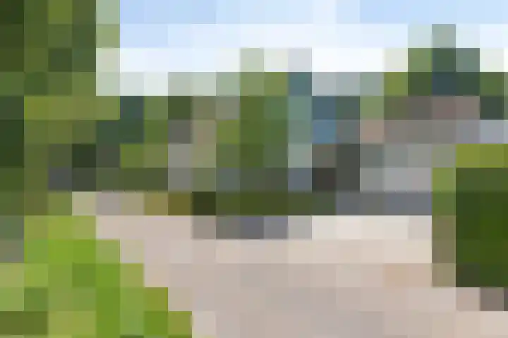 't Lindenhof 1 Bellingwolde thumbnail 5