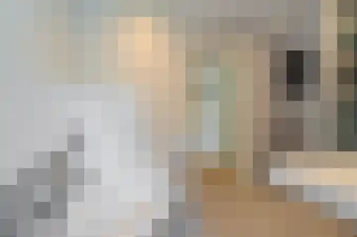 't Lindenhof 4 Bellingwolde thumbnail 20
