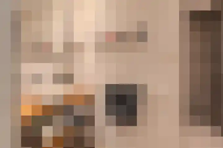 't Lindenhof 4 Bellingwolde thumbnail 24
