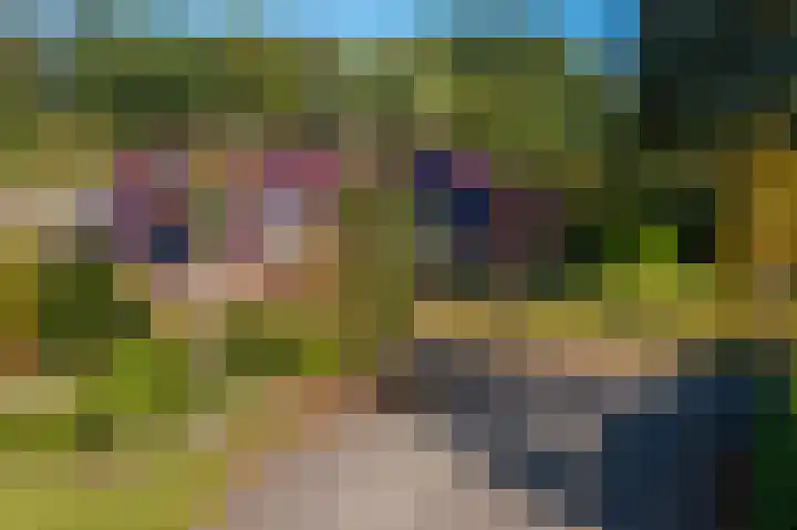 't Lindenhof 4 Bellingwolde thumbnail 4