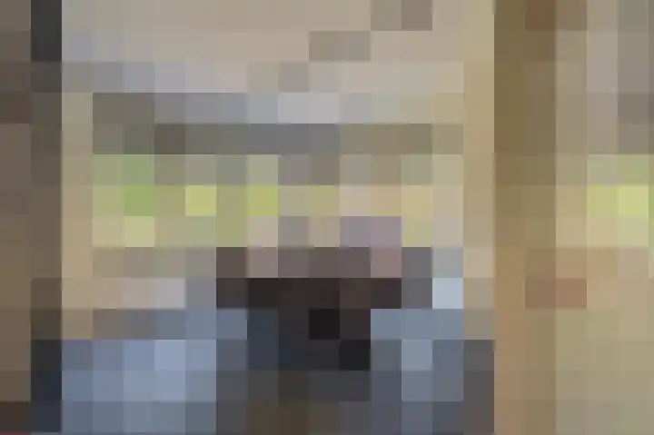 't Lindenhof 4 Bellingwolde thumbnail 43