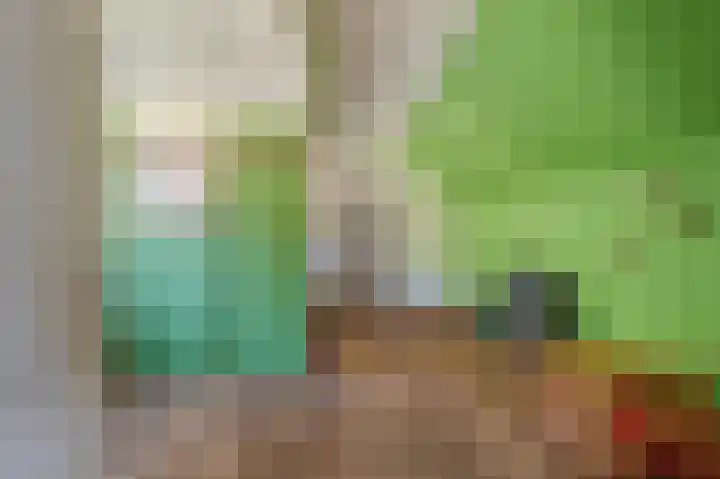 't Lindenhof 4 Bellingwolde thumbnail 49