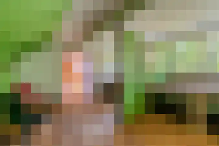 't Lindenhof 4 Bellingwolde thumbnail 51
