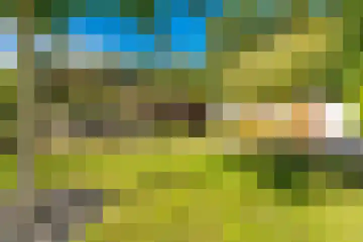 't Lindenhof 4 Bellingwolde thumbnail 55