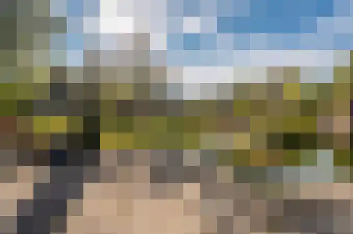 't Lindenhof 4 Bellingwolde thumbnail 56