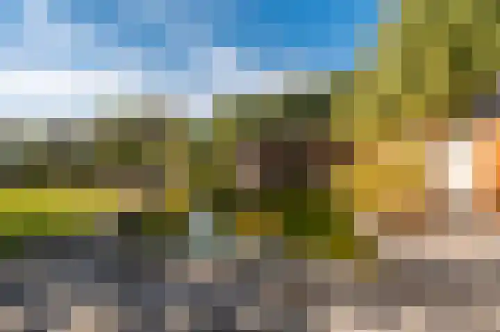 't Lindenhof 4 Bellingwolde thumbnail 57