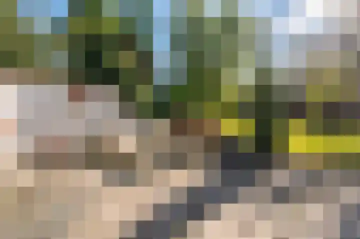 't Lindenhof 4 Bellingwolde thumbnail 59