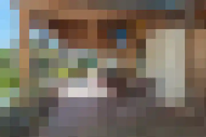 't Lindenhof 4 Bellingwolde thumbnail 60