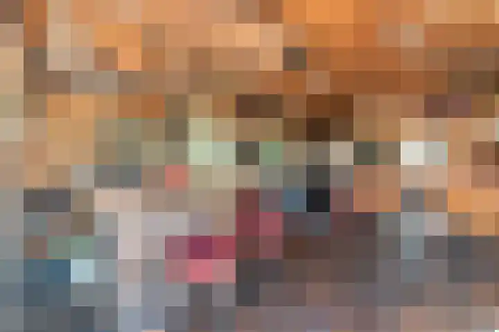 't Lindenhof 4 Bellingwolde thumbnail 61