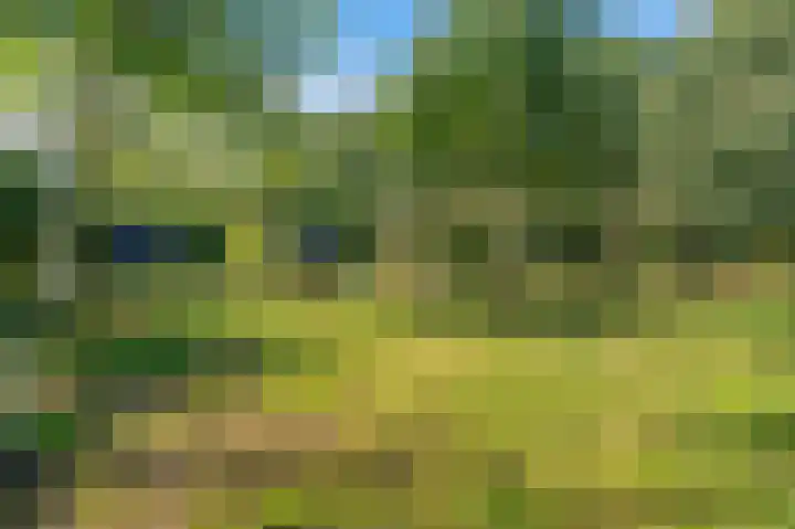 't Lindenhof 4 Bellingwolde thumbnail 63