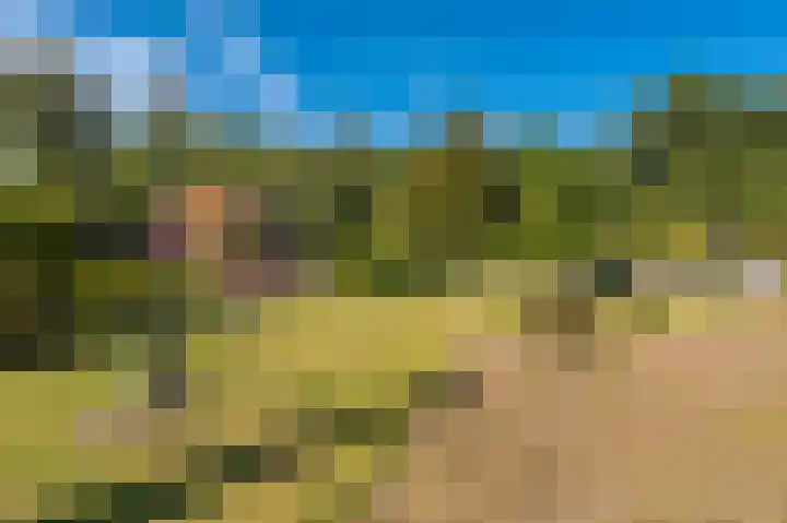 't Lindenhof 4 Bellingwolde thumbnail 65