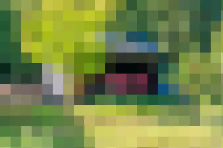 't Lindenhof 4 Bellingwolde thumbnail 66