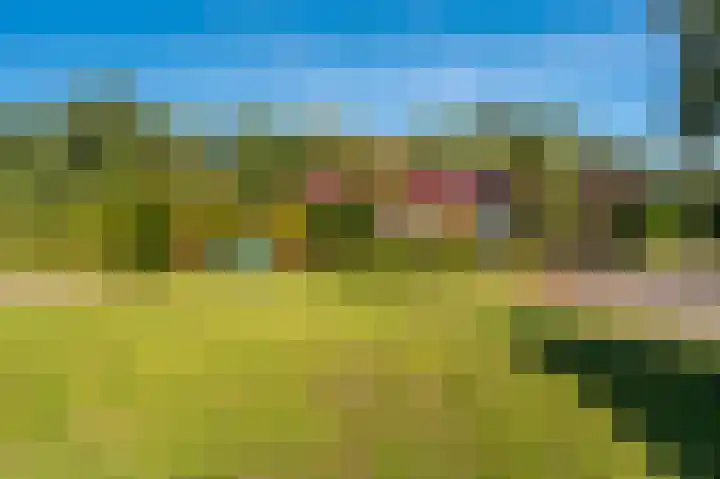 't Lindenhof 4 Bellingwolde thumbnail 69