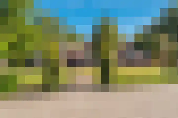 't Lindenhof 4 Bellingwolde thumbnail 70