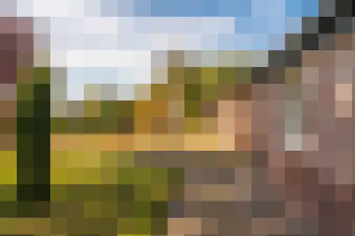 't Lindenhof 4 Bellingwolde thumbnail 71