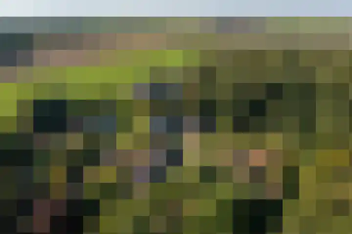 't Lindenhof 4 Bellingwolde thumbnail 76