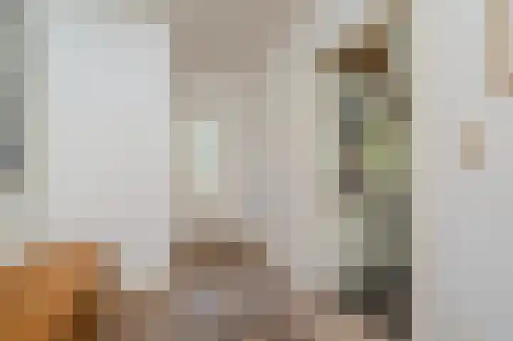 't Lindenhof 4 Bellingwolde thumbnail 9