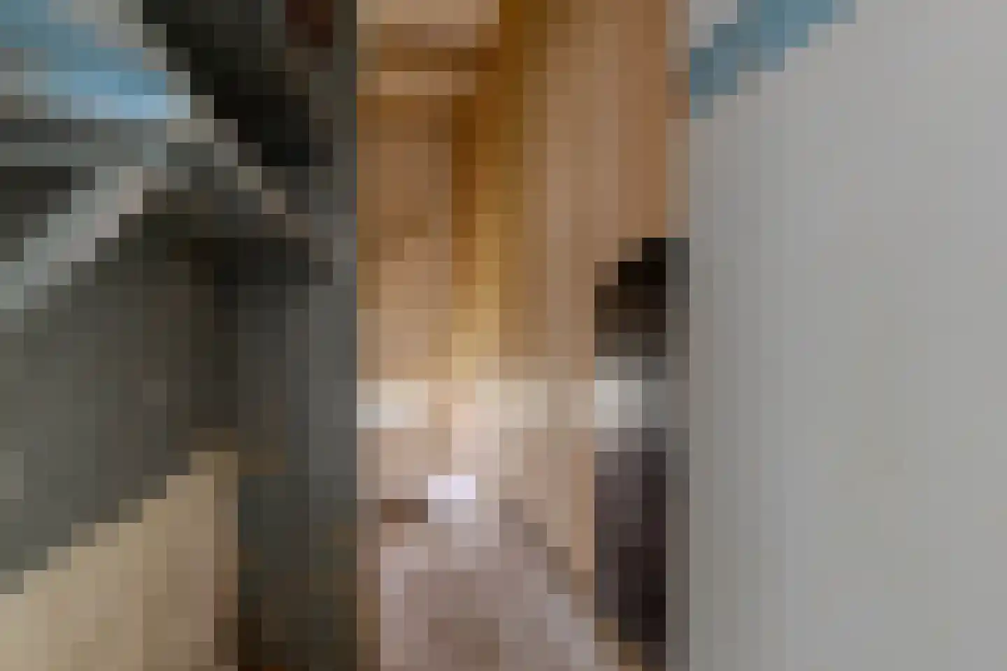 't Loug 22 Spijk thumbnail 20