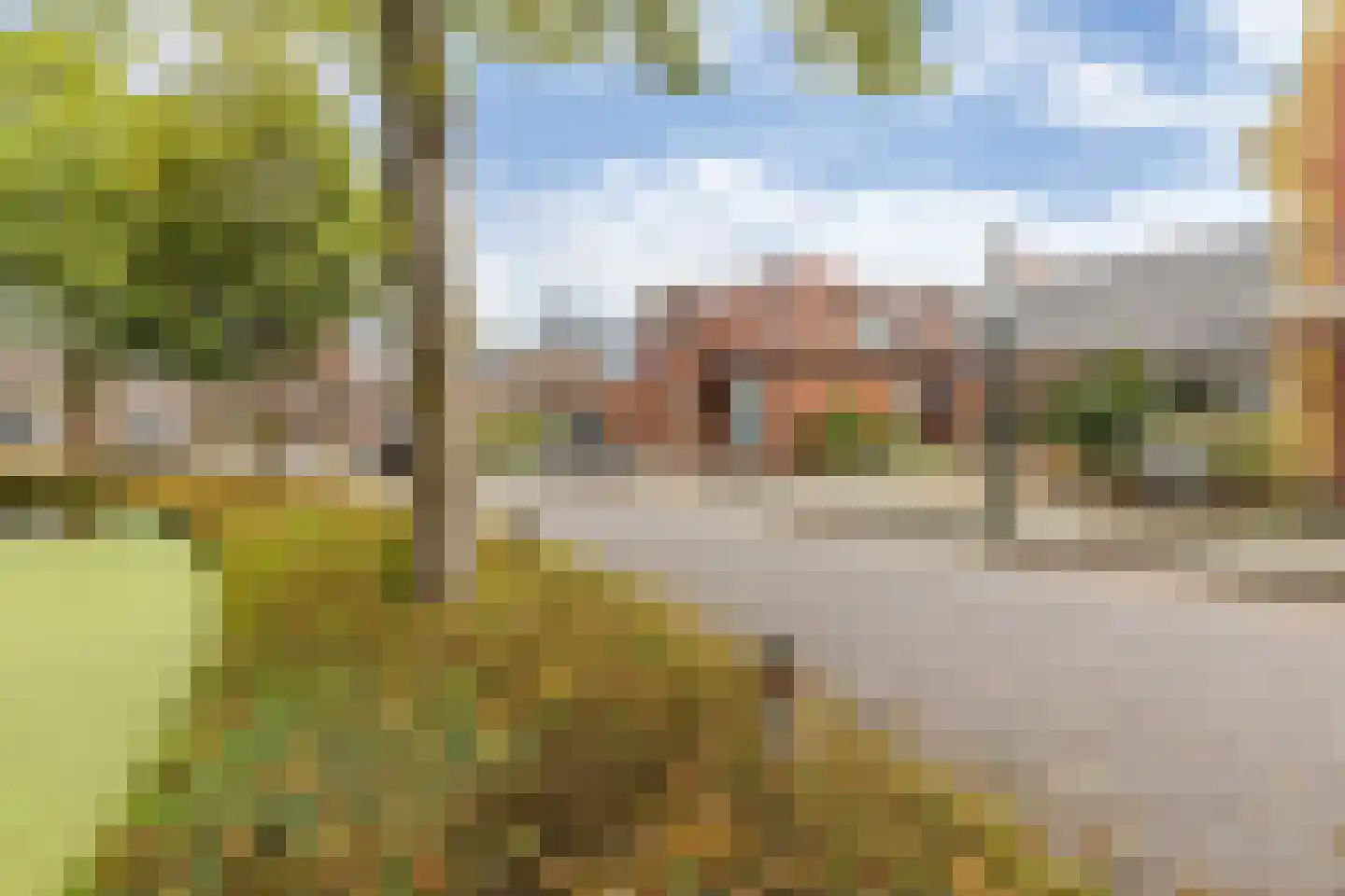 't Loug 22 Spijk foto 3