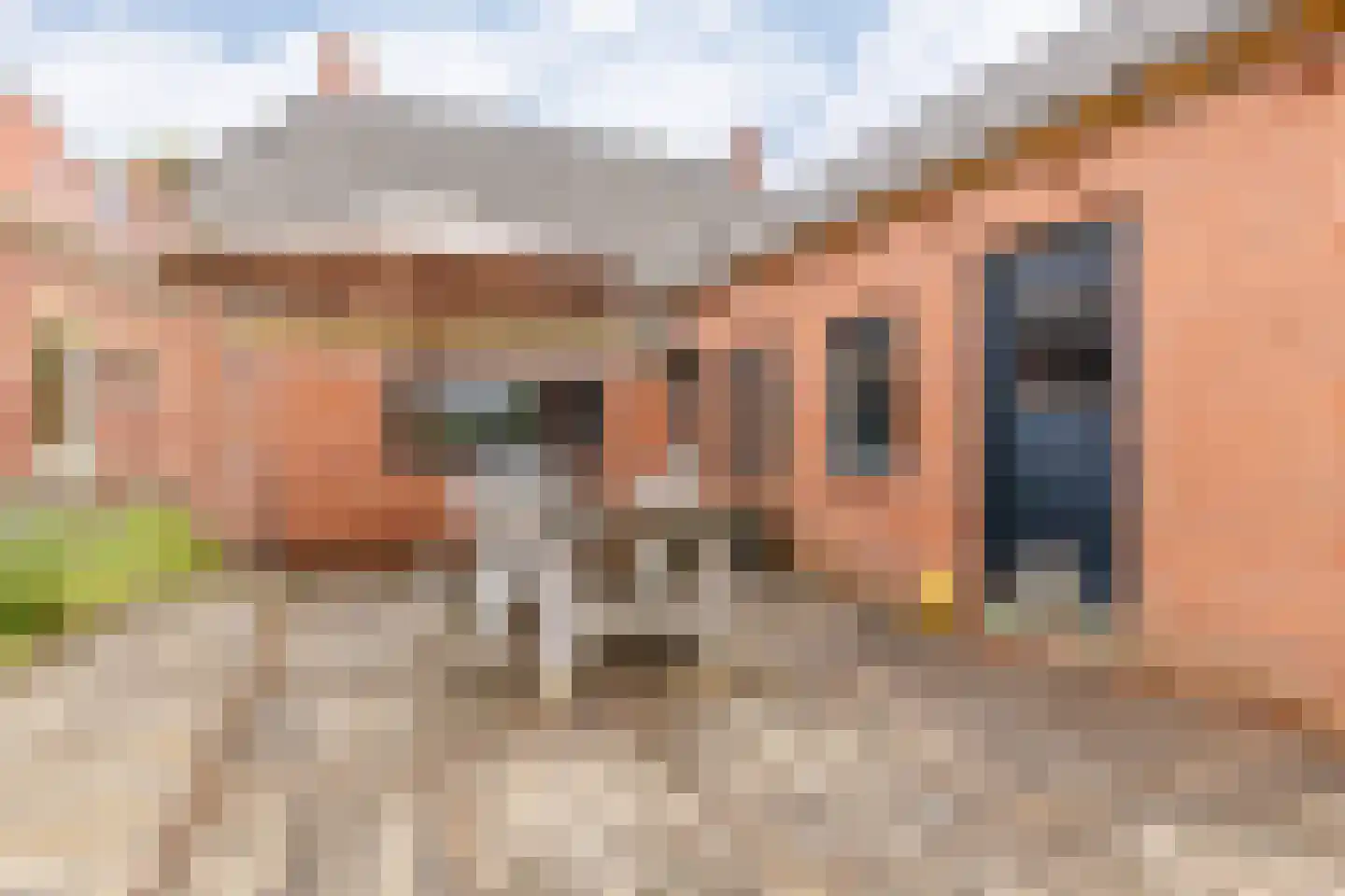 't Loug 22 Spijk thumbnail 35
