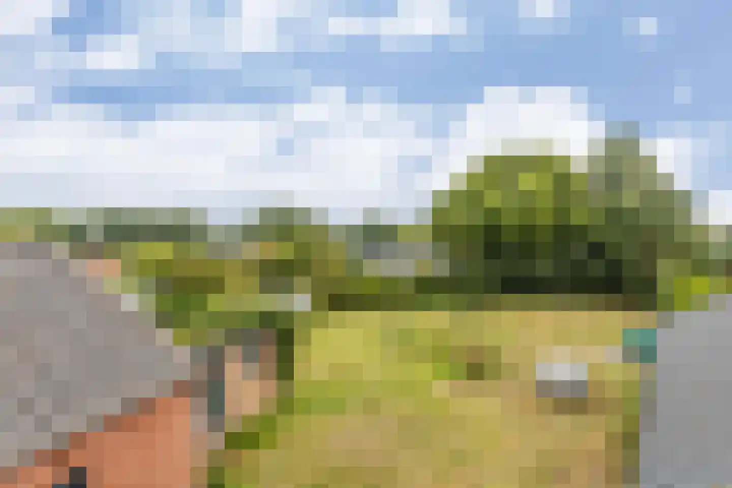 't Loug 22 Spijk thumbnail 38