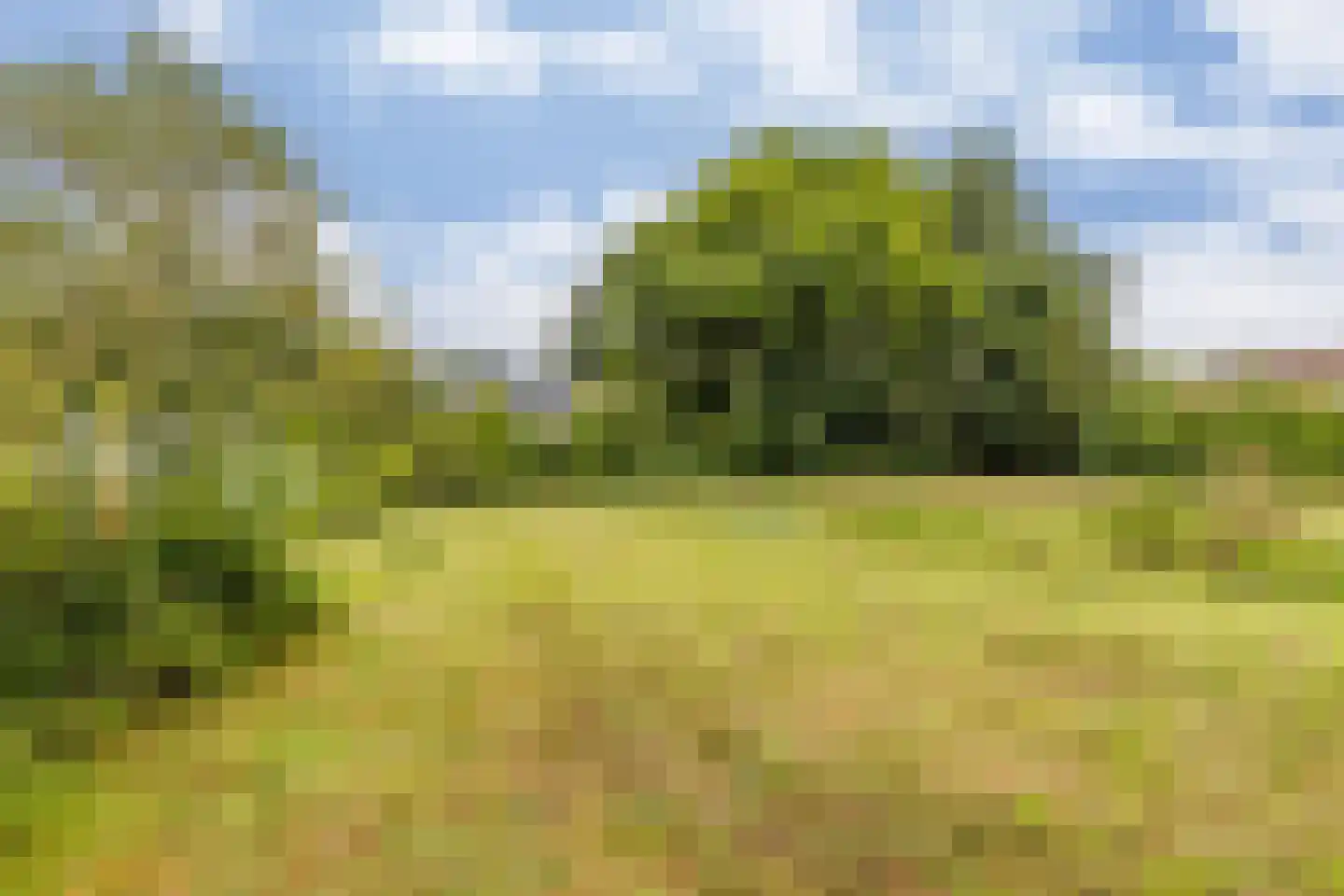 't Loug 22 Spijk thumbnail 39