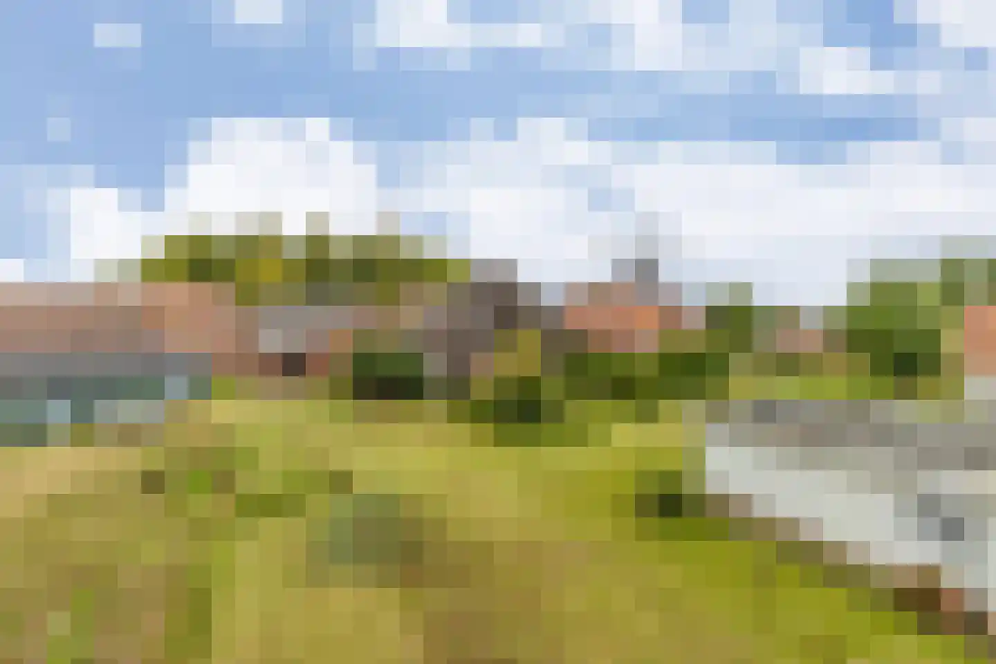 't Loug 22 Spijk thumbnail 40