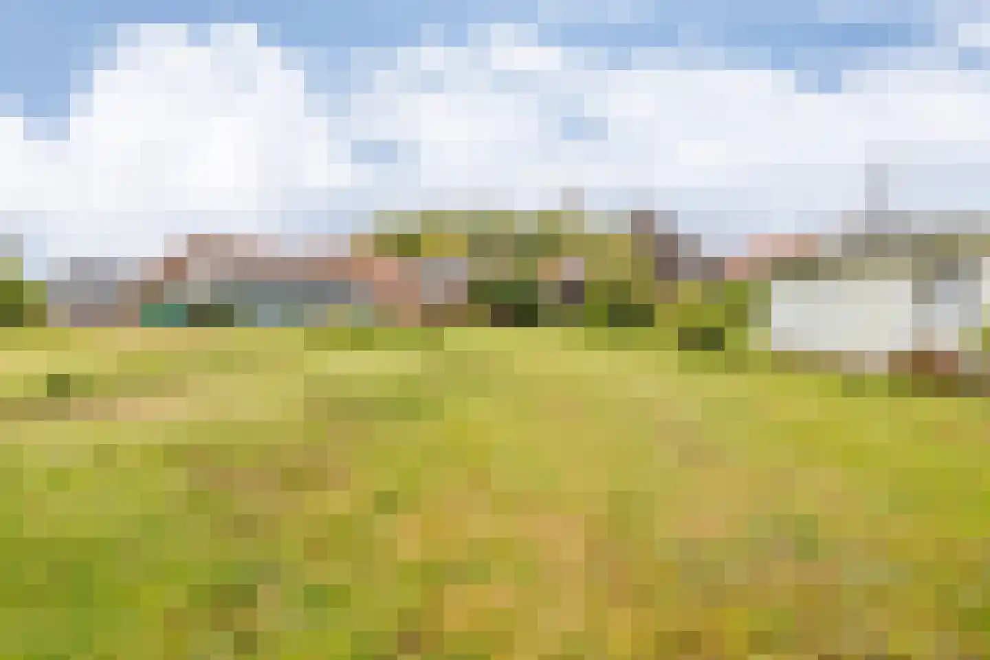 't Loug 22 Spijk thumbnail 41