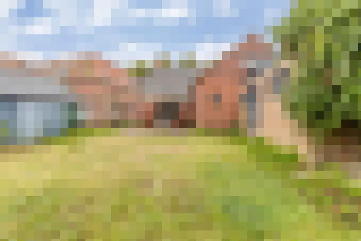 't Loug 22 Spijk thumbnail 42