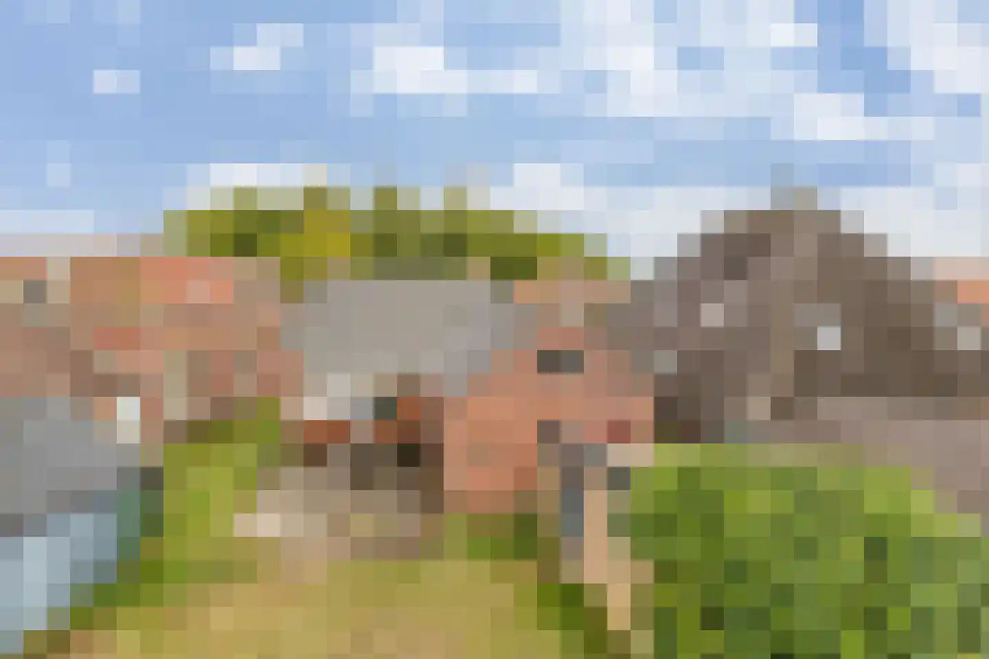 't Loug 22 Spijk thumbnail 43