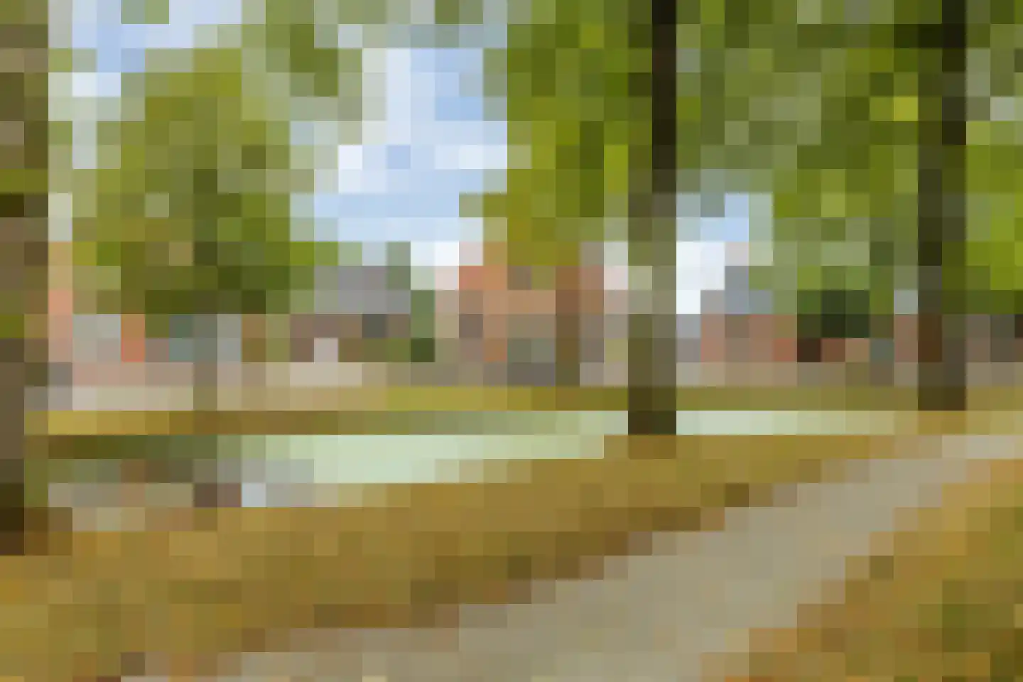 't Loug 22 Spijk thumbnail 45