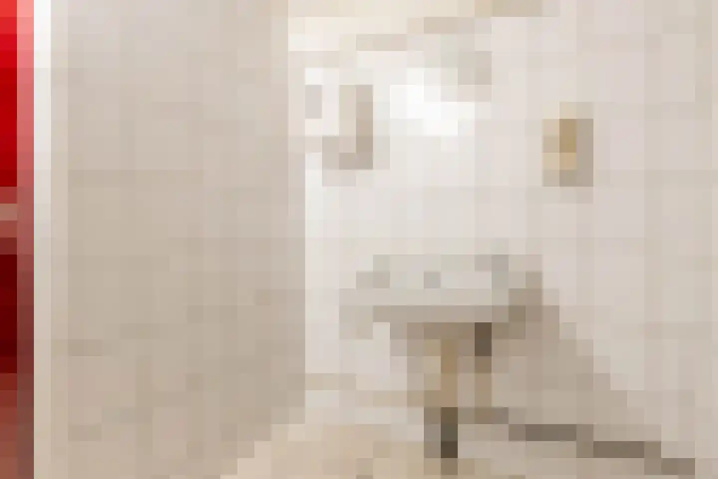 't Loug 23 Spijk thumbnail 20