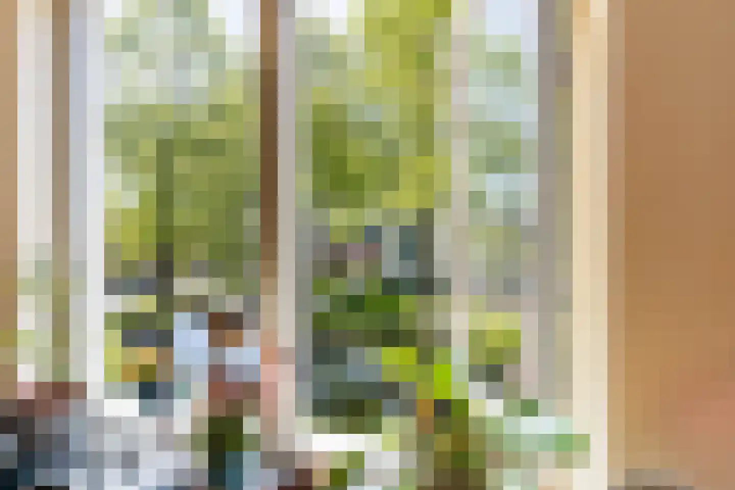 't Loug 23 Spijk thumbnail 27