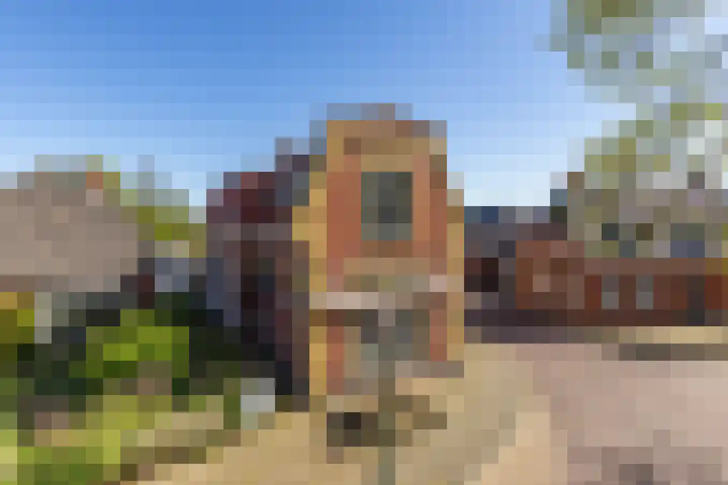 't Loug 23 Spijk foto 3