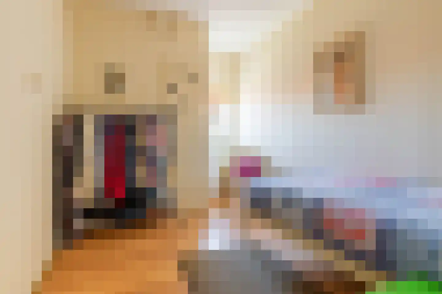 't Loug 23 Spijk thumbnail 34