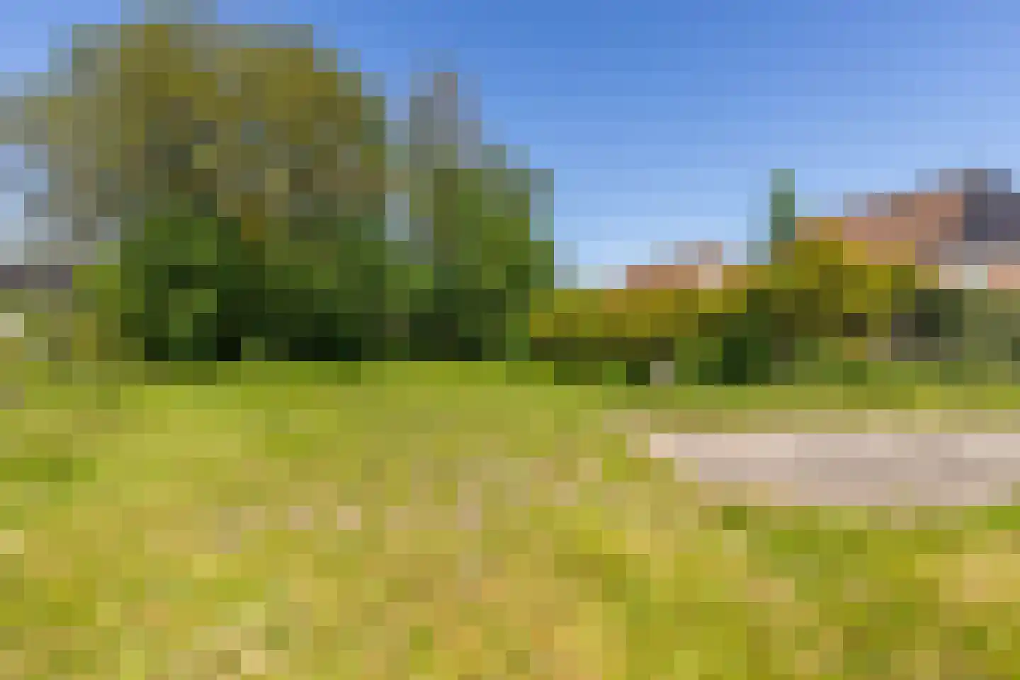 't Loug 23 Spijk thumbnail 46