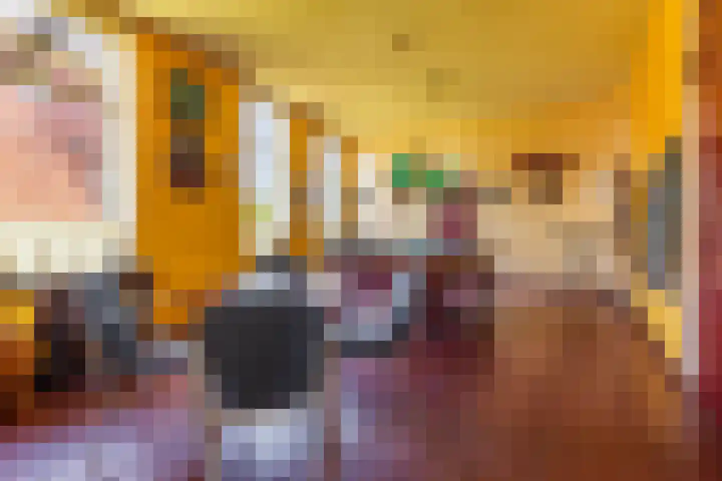 't Loug 23 Spijk thumbnail 9