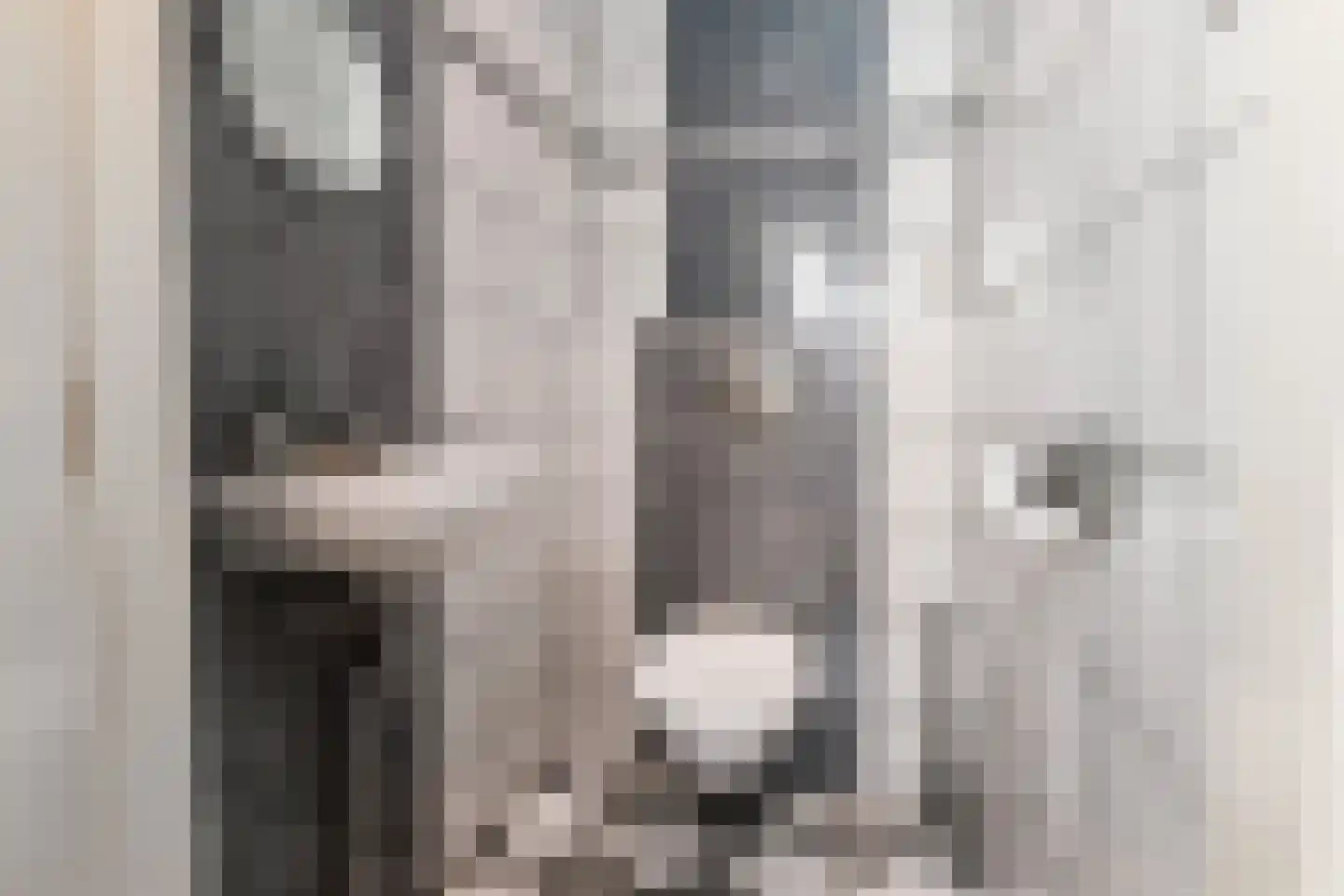 't Louwtje 2 's-Gravenzande thumbnail 10