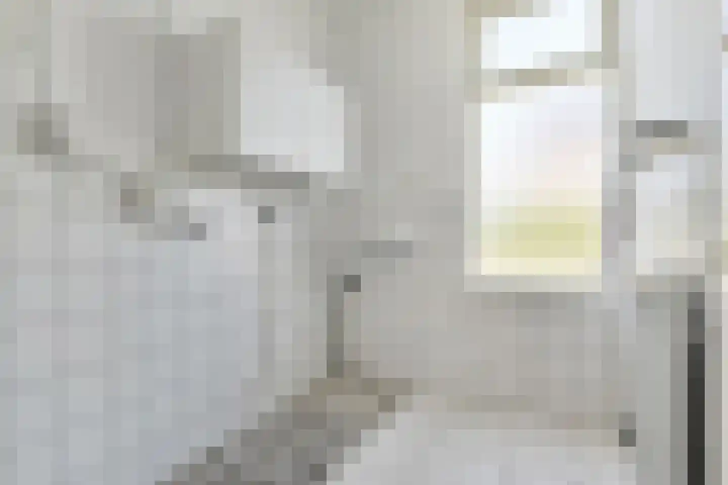 't Louwtje 2 's-Gravenzande thumbnail 11