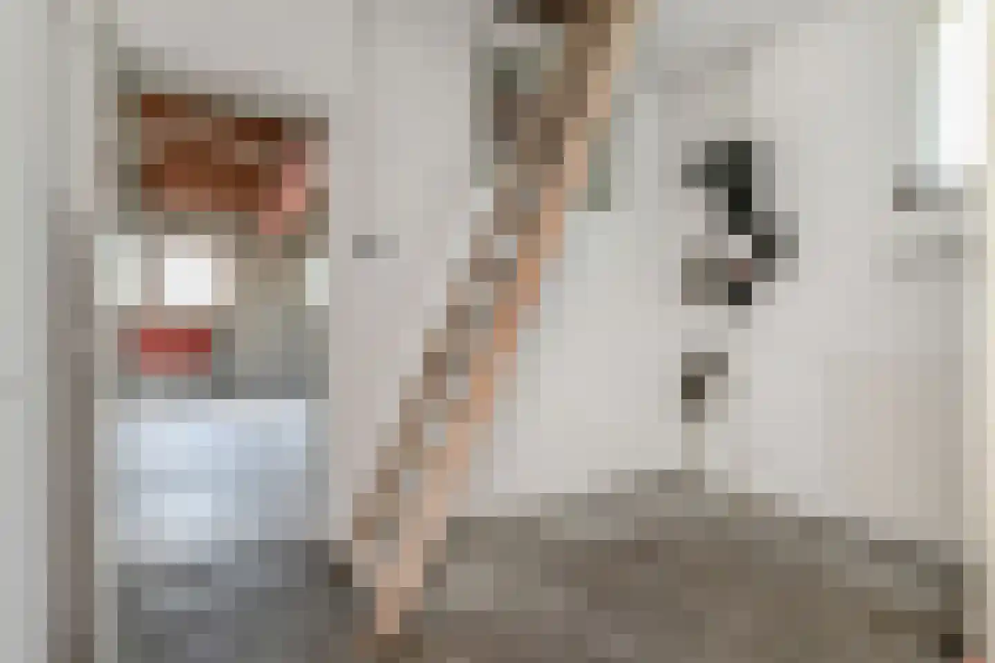 't Louwtje 2 's-Gravenzande thumbnail 16