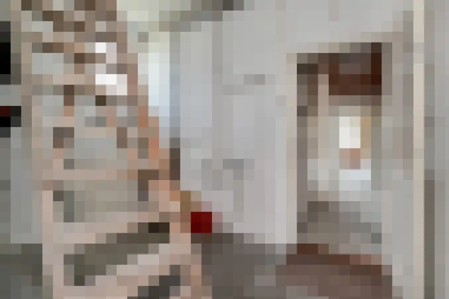 't Louwtje 2 's-Gravenzande thumbnail 17